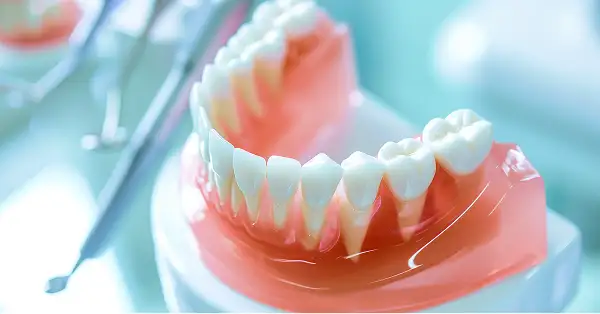 ソケットリフト サイナスリフト